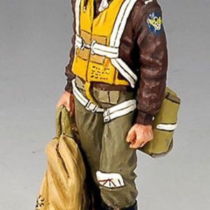 Pilota da combattimento americano