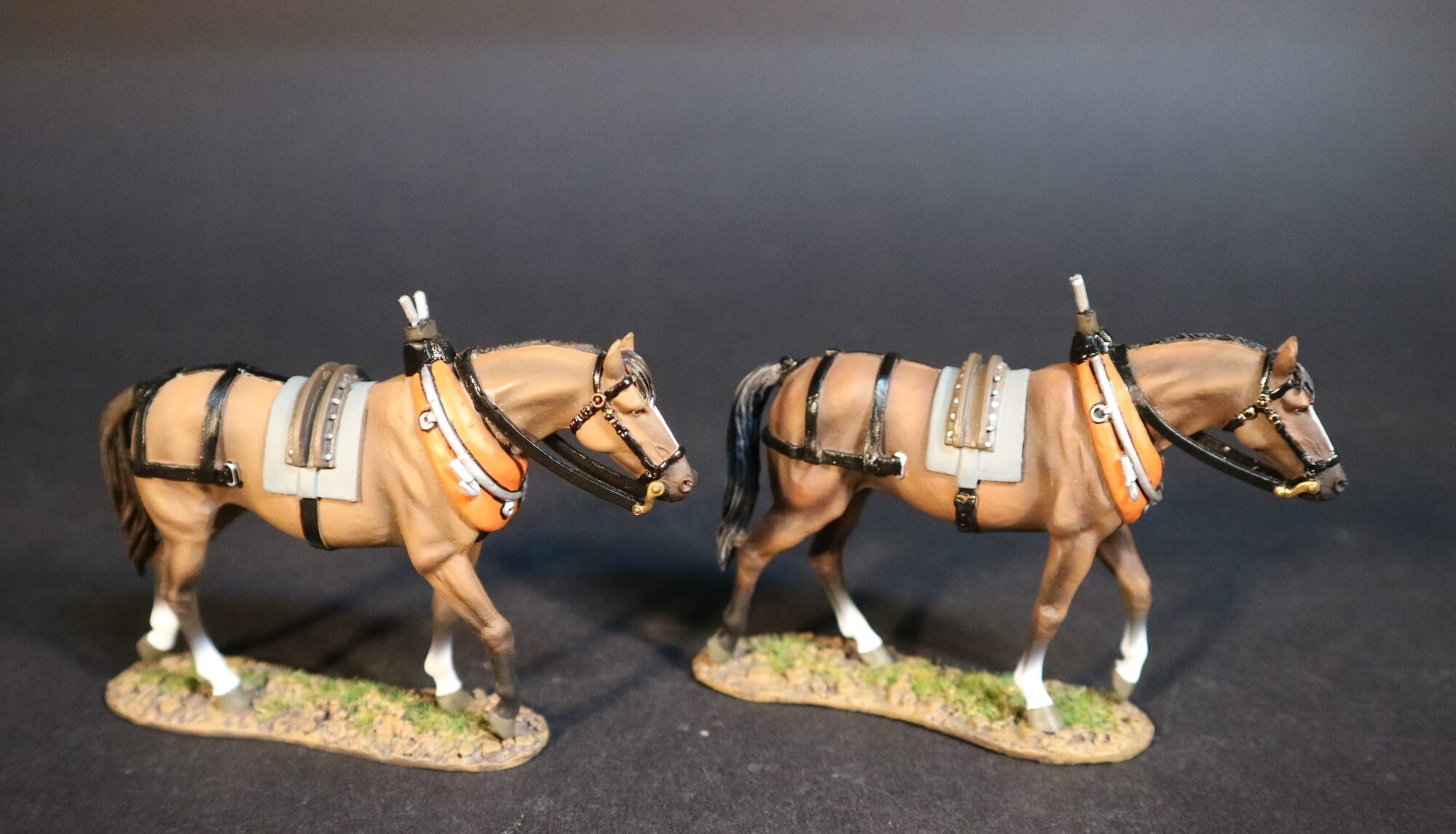 2 Horses