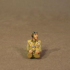 Pilot Looking Left