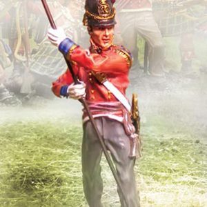 Foot Guard Regt colors
