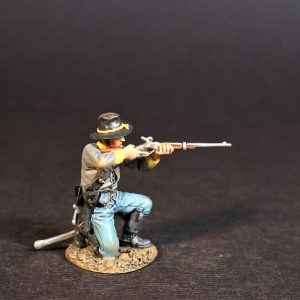 Dismtd. CS Cavalry