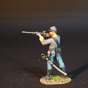 Dismtd. CS Cavalry