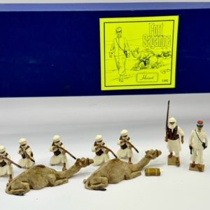FORT SAGANNE. (Saharian troops).