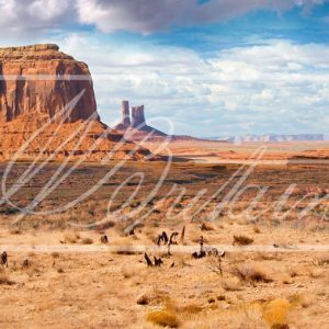 Go West -The trail westward often pushed through a bleak, flat, unchanging landscape