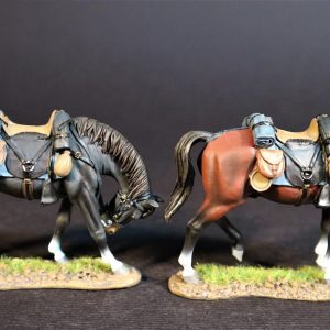 2 Horses