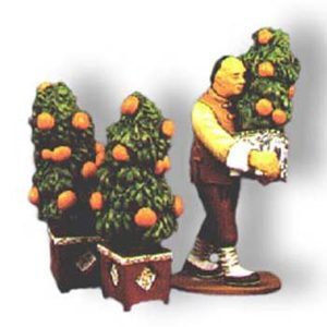 The Orange Tree Man and one Tree