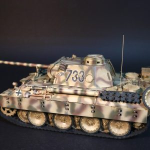 Panther D #733