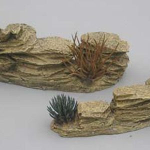 Rocks with desert shrubs