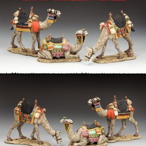 The Three Wise Camels Set of 3 (2nd Generation)