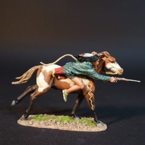 Sioux Warrior