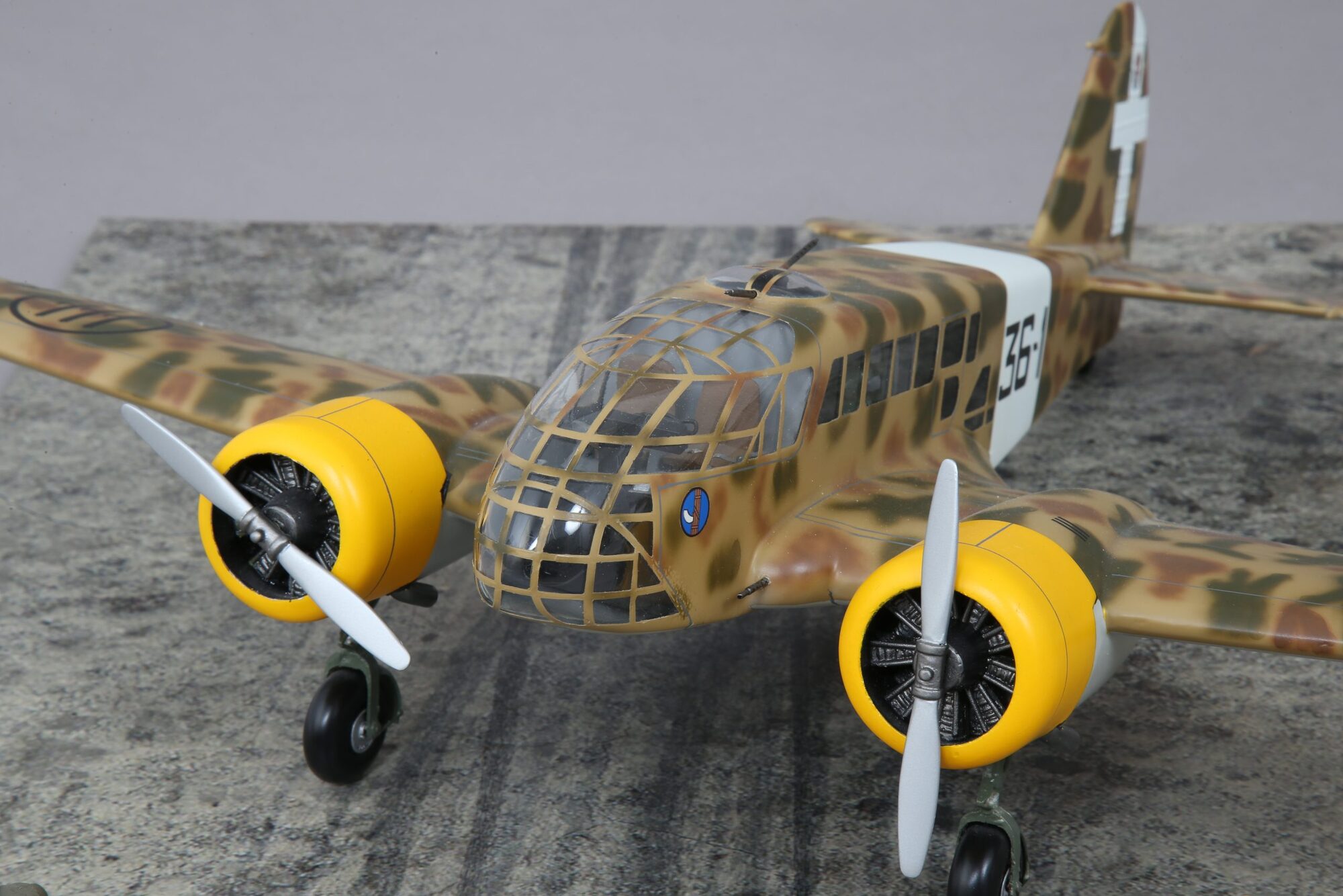 Caproni Ca.313