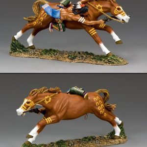 The Plains Warrior