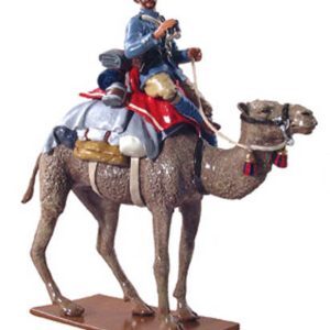 Officer Grenadier Guards Camel Regiment 1884-1885