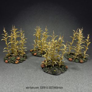 18th-19th Century Autumn Corn
