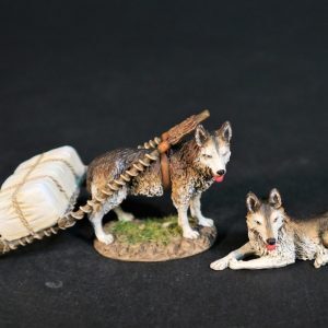 Dogs with Travois