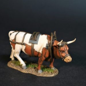 Ox