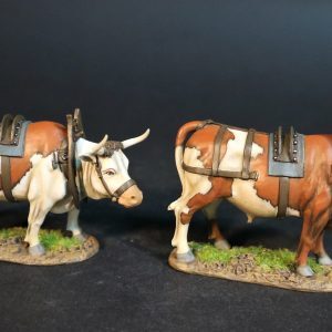2 Oxen