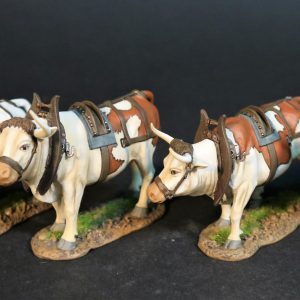 4 Oxen