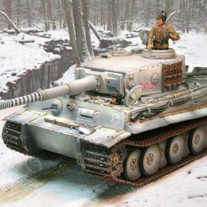 Tiger Wittmann Winter