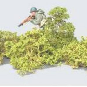 Cespugli alti a foglie piccole (Figura non inclusa)
