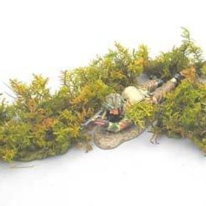 MACCHIA DI FELCETO