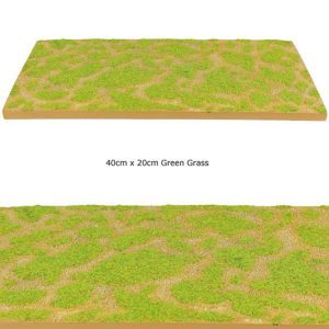 Sezione di terreno con erba verde