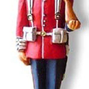 Guardia sull'attenti