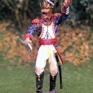 Old Guard Officer