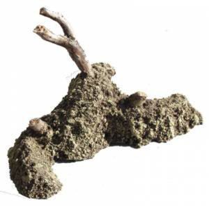 CUMULO DI TERRA RIALZATA