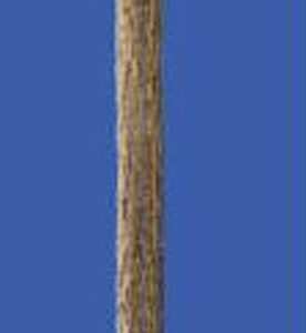Telegraph pole