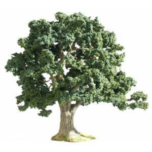 GRANDE QUERCIA