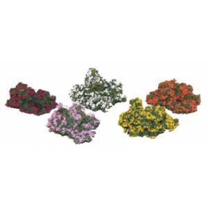 CESPUGLI FIORITI DI VARI COLORI