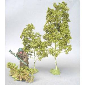 Alberelli di betulla in primavera ( figura esclusa)
