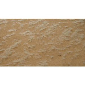 BASE DI PRATO SECCO CM