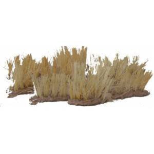 ERBA ELEFANTINA