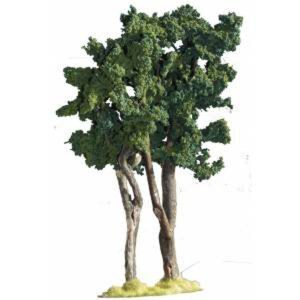 ALBERI DELLA FORESTA INTRECCIATI
