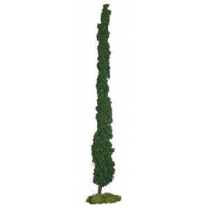 PICCOLO GINEPRO