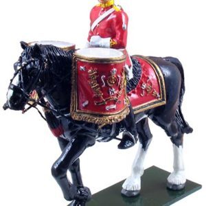 Suonatore di Timpano dei Royal Scots Dragoon Guards a cavallo