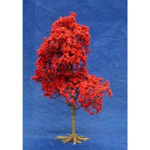 RED MAPLE