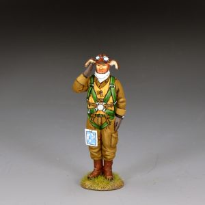 Saluting Kamikaze Pilot