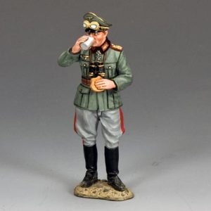 Rommel in France