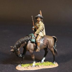 Natal Native Horse