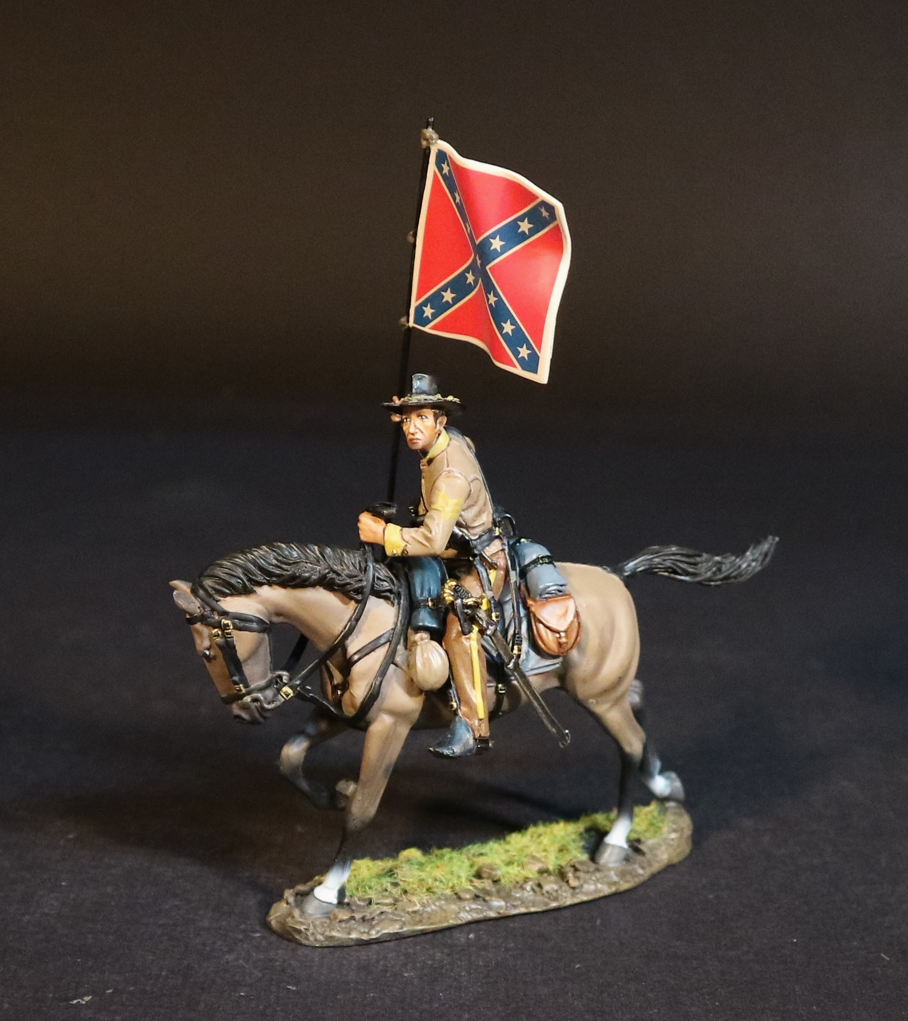 Confederate Standard Bearer