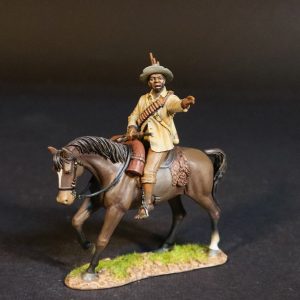 Natal Native Horse