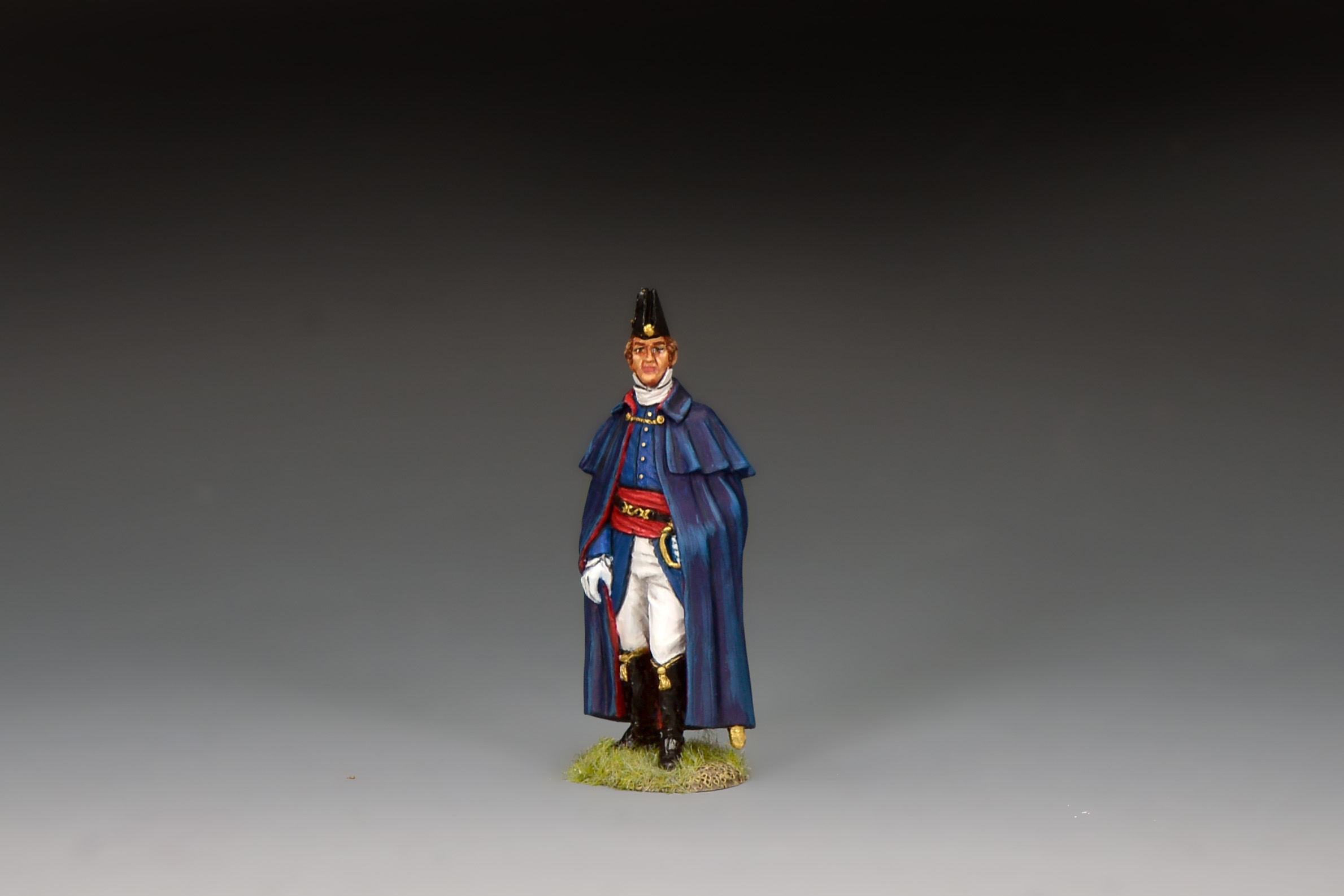 The Duke of Wellington