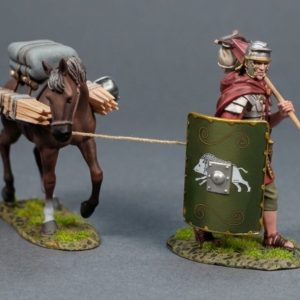 Roman with pony WITH GREENSHIELD